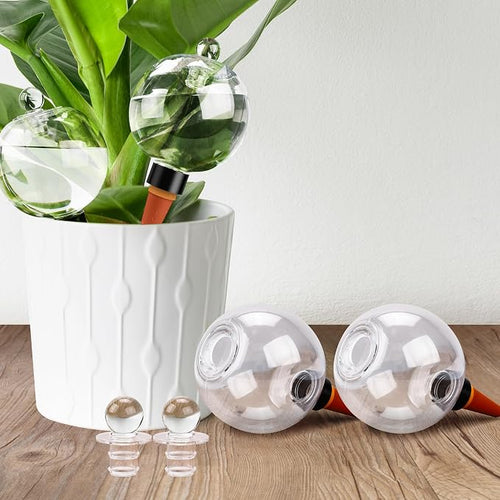 19 oz Extra Large Plant Self Watering Globes Top Fill, Plastic Water Bulbs by SoilaguaDirect