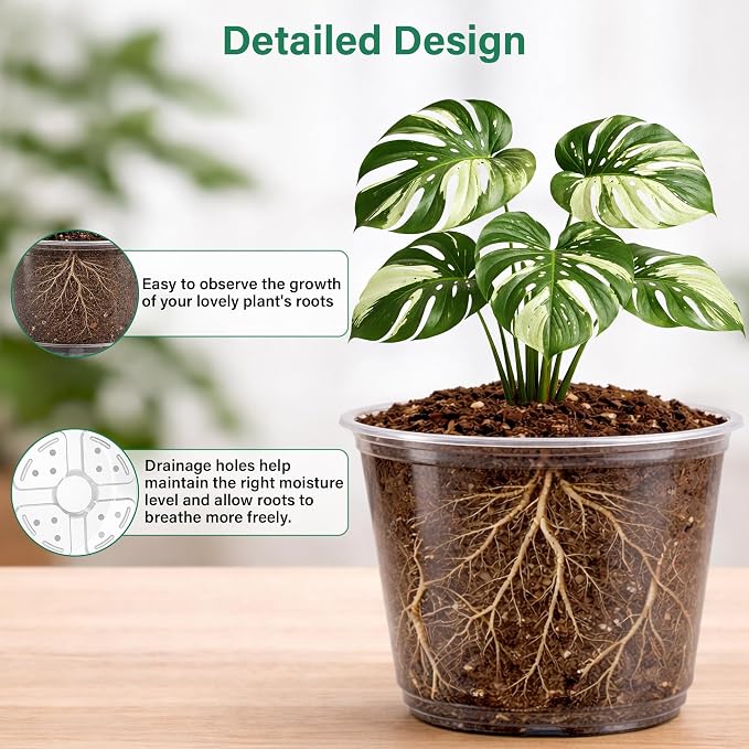 16 Pack 10/8/6/5 Inch Reinforced Large Clear Nursery Pots - Image 3