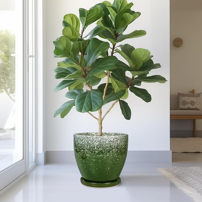 10 Inch Plant Pot - Image 4