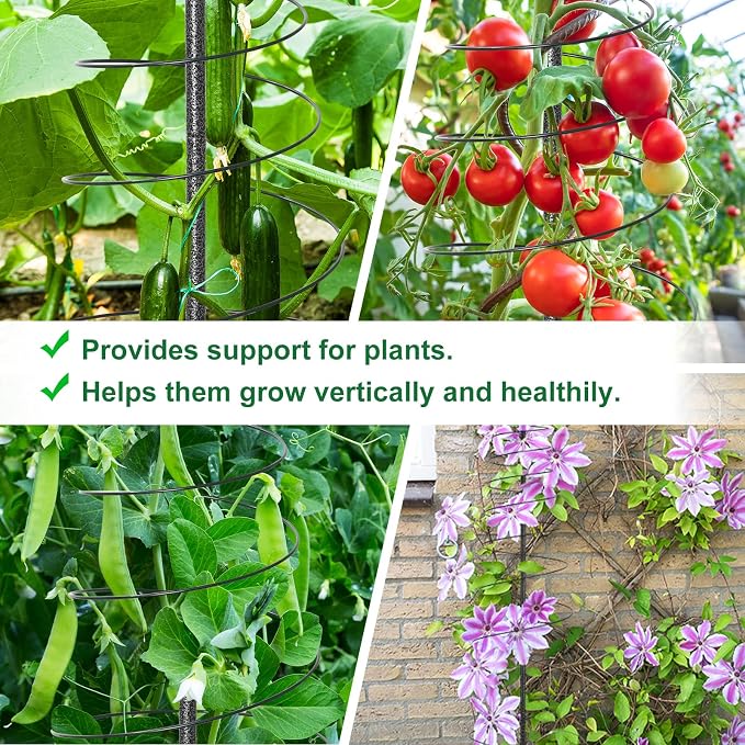 72in Tall Spiral Frame Trellis for Climbing Plants Outdoor, Heavy Duty Metal - Image 4