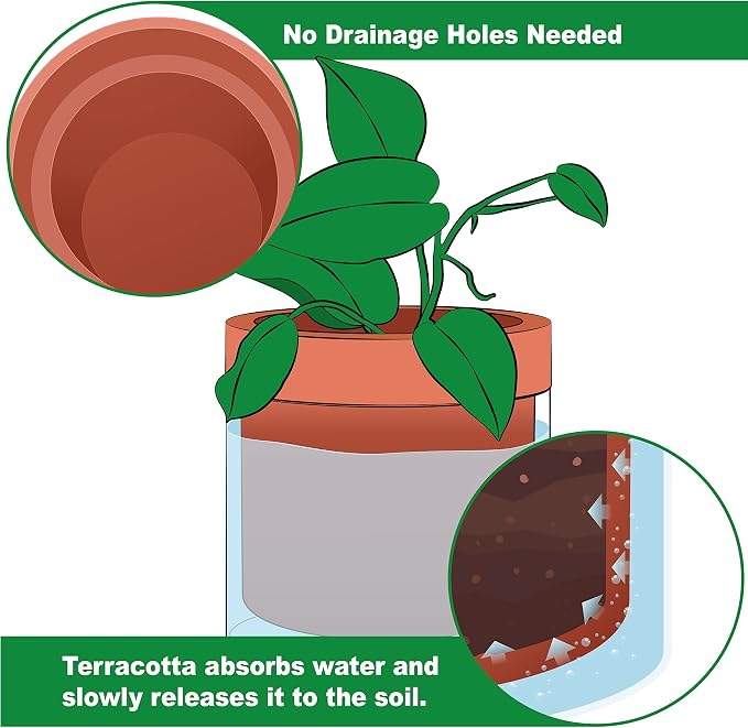 Phoenix Vine 6 Inch Self Watering Planter Pot, Terracotta Clay Pot - Image 3
