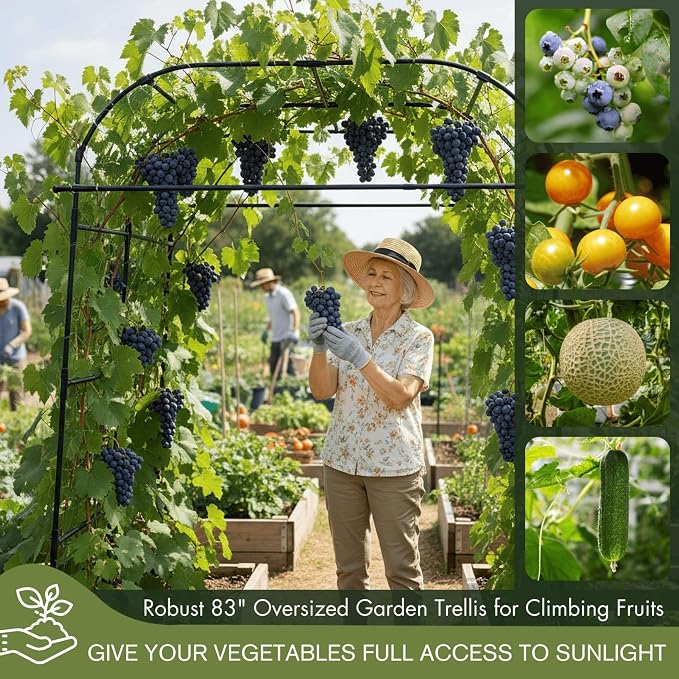 Wide Arch Trellis 7FT Extra Tall Garden Trellis Arch – Sturdy Plastic Coated - Image 6