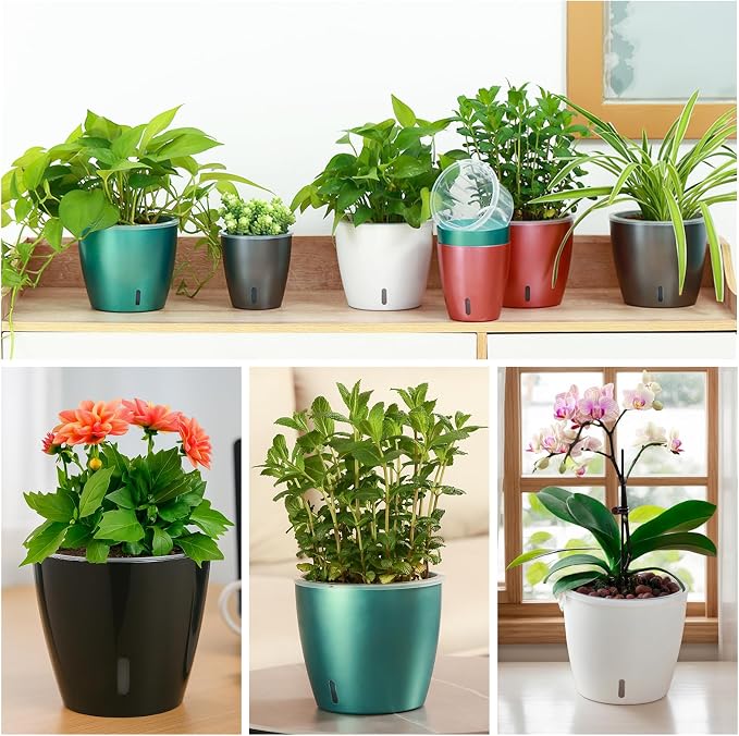 Self Watering Pots for Indoor Plants, Small African Violet Pots - Image 5
