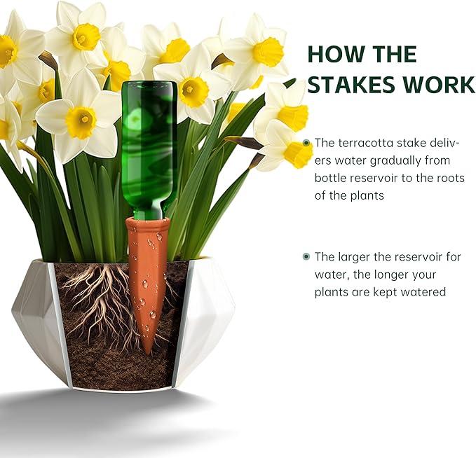 Wine Bottle Watering Spikes, Terracotta Watering Spikes - Image 3