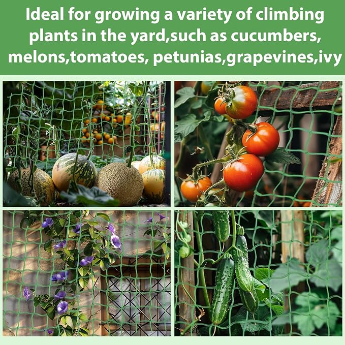Trellis Netting For Climbing Plants - Image 6