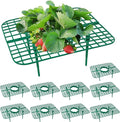 10 Pack Strawberry Plant Support, Strawberry Planting Stand, Keeping Strawberry by GOONMILL