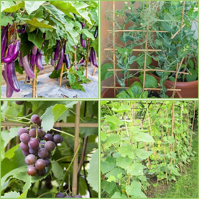 Plant Stakes, 3FT Longer Sturdy Natural Bamboo Garden Stakes, GAGINANG 25Pcs - Image 6