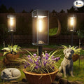 Bright Solar Lights Outdoor, 6 Pack Solar Pathway Lights Outdoor, Auto On/Off by Professionalproductionofsolarlightsoutdoor%EF%BC%9A%EF%BC%89