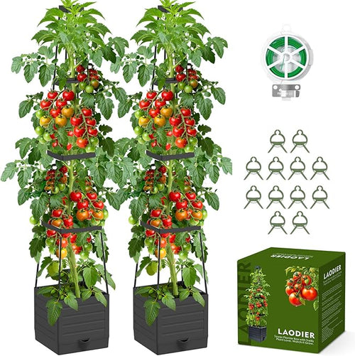 2 Pack Raised Garden Bed Tomato Planter by Laodier