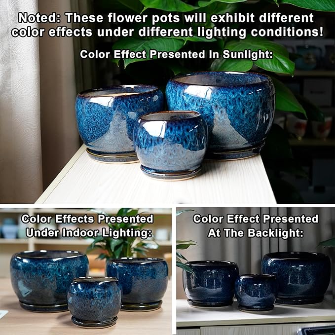 SQOWL 10 Inch Plant Pot - Image 5