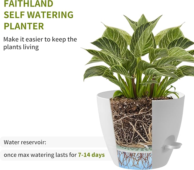 FaithLand 3-Pack Large Planter Pots, 12 10 9 Inch Self Watering Flower Pots - Image 4