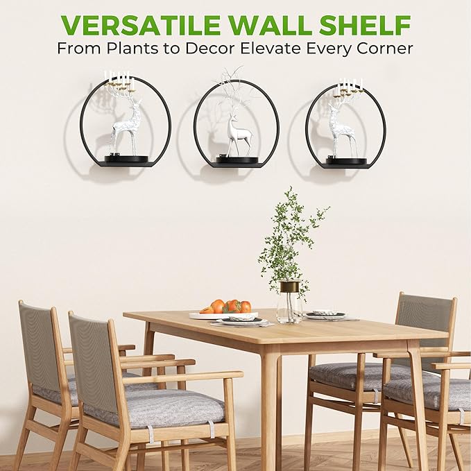 Wall Planters for Indoor Plants, Plant Frames Wall Decor Living Room Plant - Image 6