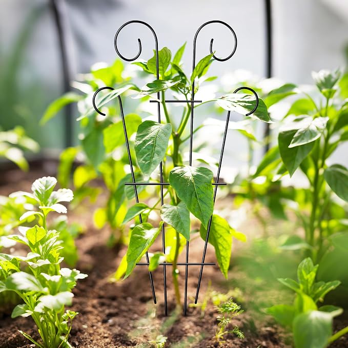 4 Pack 32'' Indoor Plant Trellis - Image 6