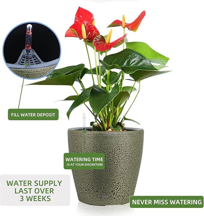 Dexceder 13x12 Self Watering Planter - Image 5