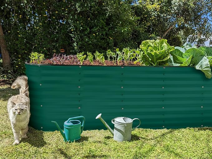 Plant & Plot Galvanized Raised Garden Beds Outdoor // 8×2×2 ft Planter Raised - Image 6