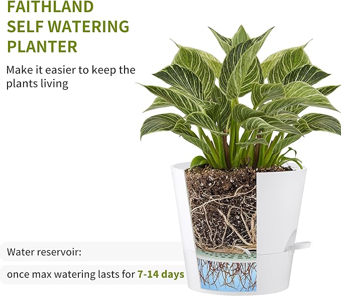 FaithLand 2-Pack 9 Inch Planter Pots - Image 3