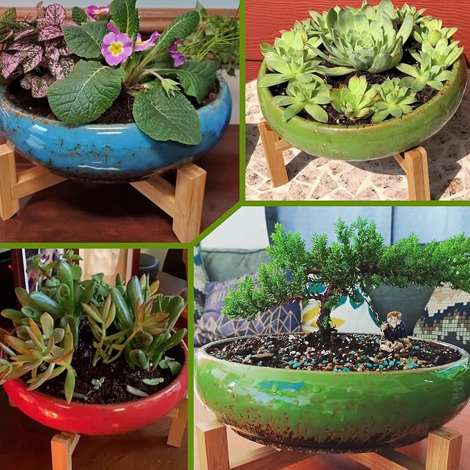 Large Succulent Pots with Drainage & Stand, 10 inch Ceramic Succulent Planter - Image 6