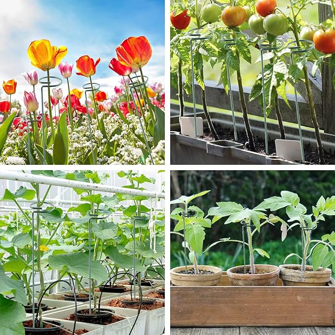 20 Pack 16 Inch Plant Support Stakes, Metal Single stemmed Flower Support - Image 6