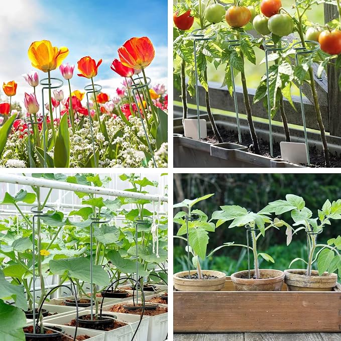 18 Inch 20 Packs Plant Support Stake Garden Single stemmed Plant Support Hoops - Image 5