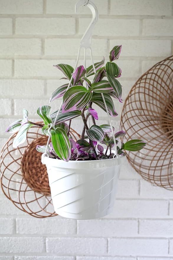 The HC Companies Euro Hanging Basket Planter Decorative 12-Inch Large Plastic - Image 5