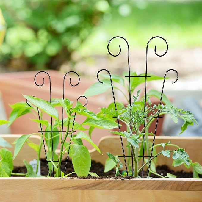 4 Pack 23'' Indoor Plant Trellis - Image 6