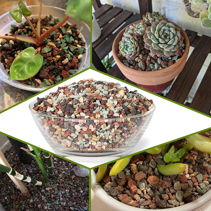Large Succulent Pots with Drainage & Stand, 10 inch Ceramic Succulent Planter - Image 5