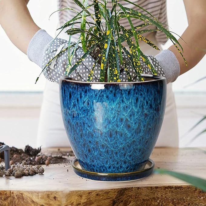 8 Inch Ceramic Planter Pot - Image 4