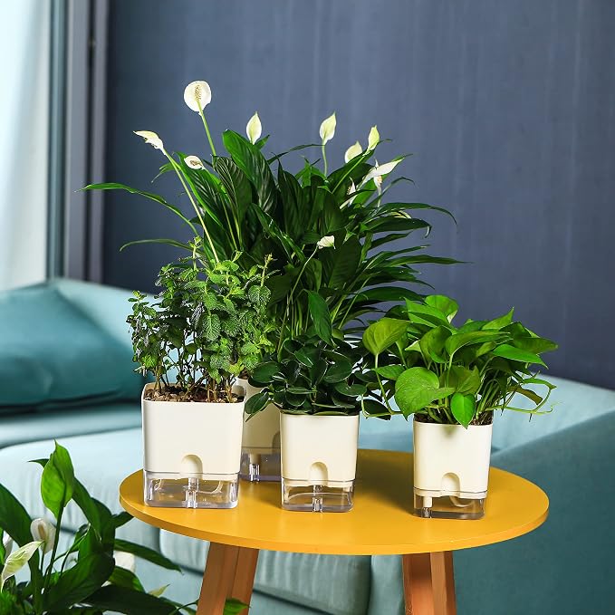 Planterhoma 6 Pack-5.5 Inch Self Watering Plant Pots - Image 9