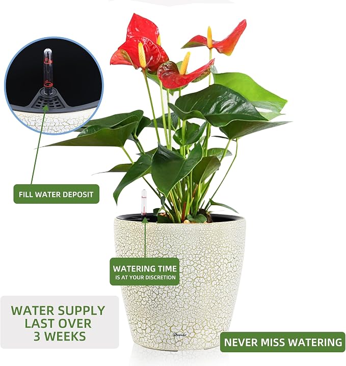 Dexceder 13x12 Self Watering Planter - Image 5