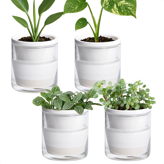D'vine Dev 4 Inch Design Self Watering Planter by DvineDevPlanterPotsandStand