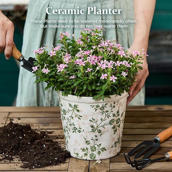 Ceramic Planter with Drainage Hole, Plastic Tray & Mesh, 6 Inch - Image 3