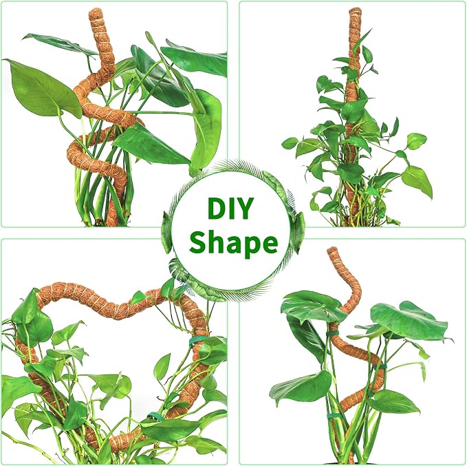 4 Pack 28 Inch Moss Pole Monstera Plant Support, Coir Moss Poles - Image 5
