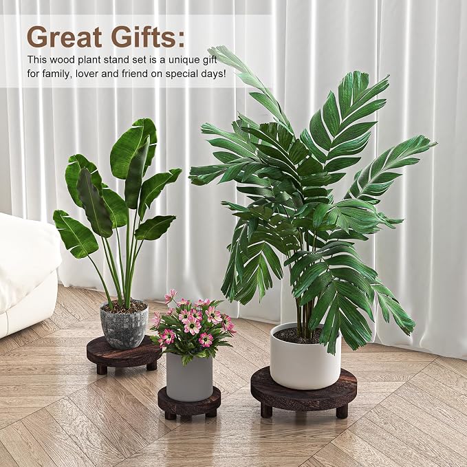 Wood Plant Stand Indoor Outdoor, 12/10/8/6" Round Wood Riser - Image 7