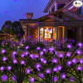 Kohlrabi Solar Garden Lights Outdoor, 4 Pack 40 LED Solar Purple Firefly Lights by KohlrabiDecor