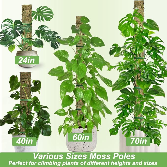 40" Metal Moss Pole, D Shape Sphagnum Moss Pole, Moss Poles - Image 5