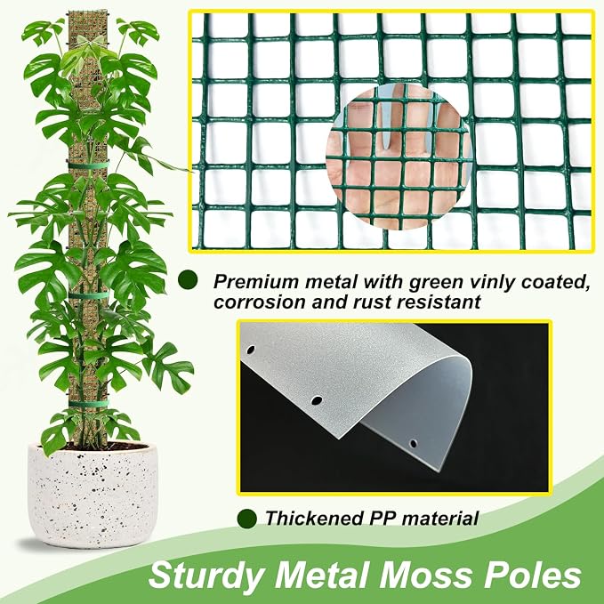 40" Metal Moss Pole, D Shape Sphagnum Moss Pole, Moss Poles - Image 3