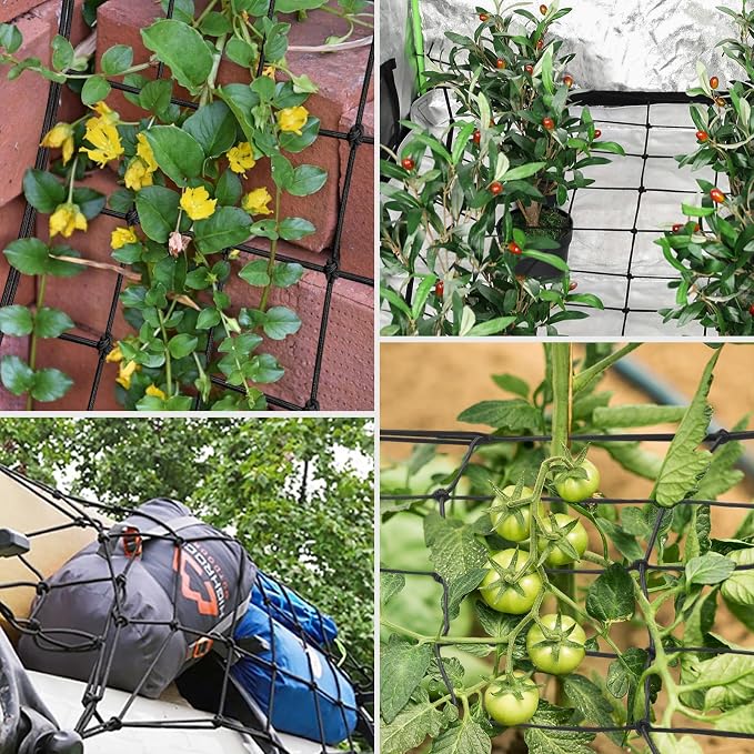 VIVOSUN 3 x 3Ft. Elastic Trellis Netting - Image 6