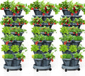 7 Tiered Strawberry Vertical Planter Tower Garden 3 Pack, Stackable Planter by Tectsia