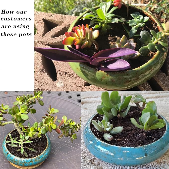 Succulent Pots - Large Succulent Planters Pots - Image 6