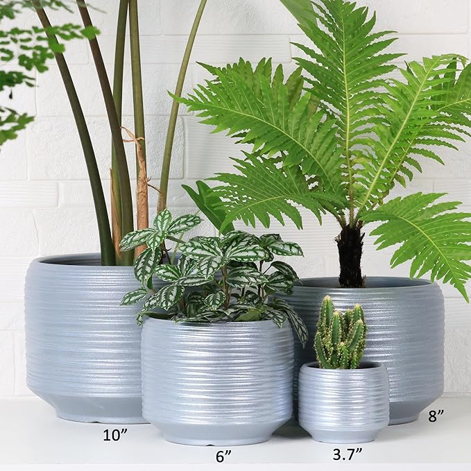 Mini Succulent Planter Set – 3.7 Inch Ceramic Pots - Image 8