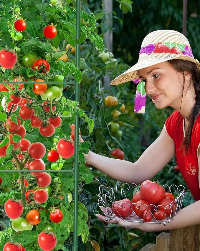 3 Pack Tomato Cages for Garden, 51in*13in Adjustable Tomatoes Plant Stakes - Image 9