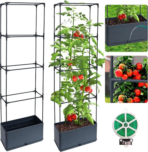 2 Packs Raised Garden Bed Tomato Planter Box by Biotolot