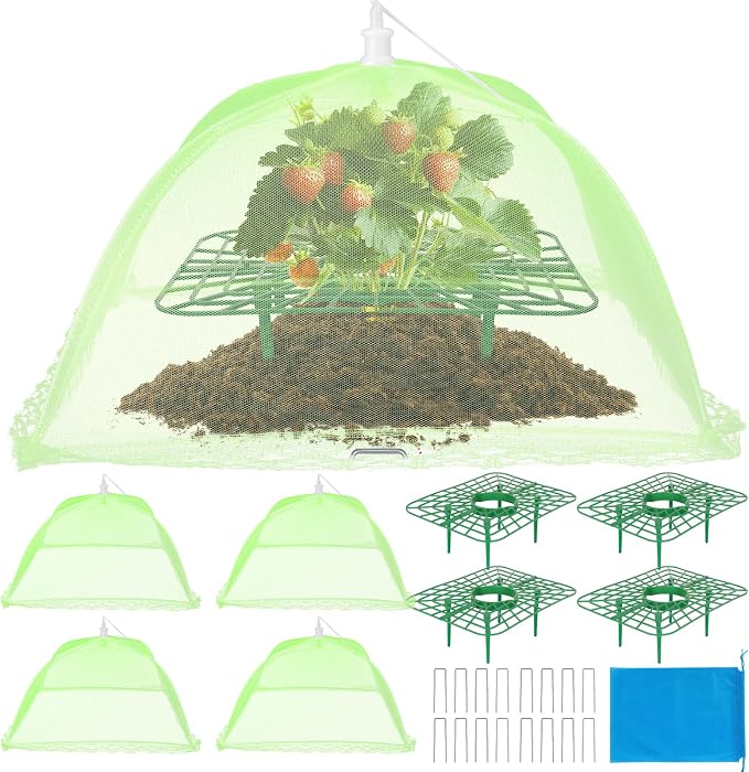 4 Sets Strawberry Plant Support by Unknown