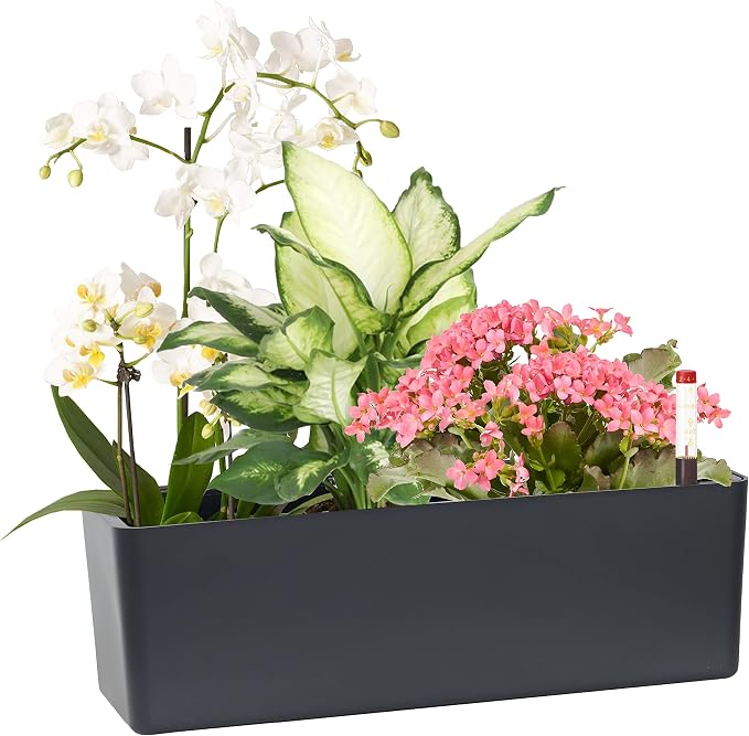 GardenBasix Elongated Self Watering Planter Pots Window Box 5.5 x 16 inch by GardenBasix