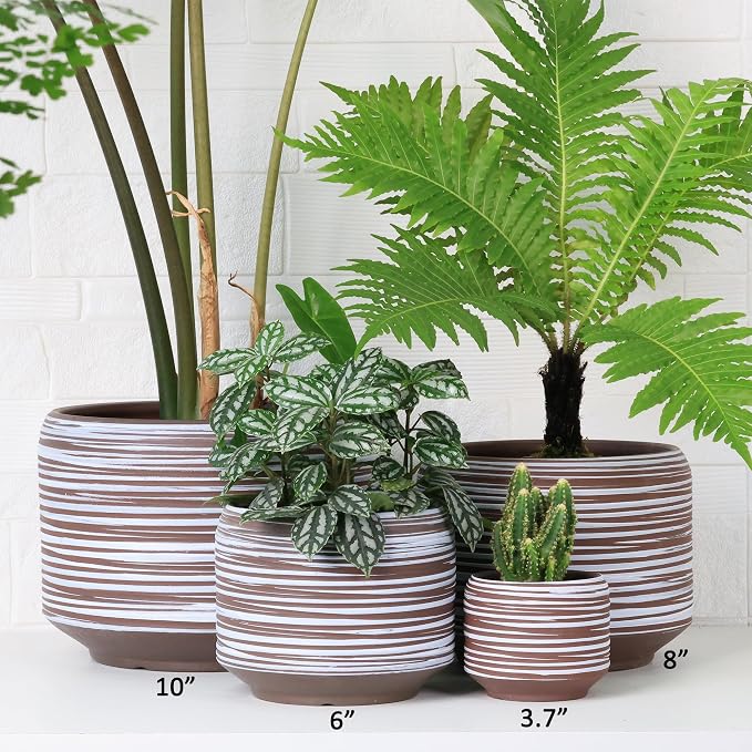 Mini Succulent Planter Set – 3.7 Inch Ceramic Pots - Image 6
