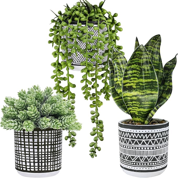 Winlyn 3 Pcs Small Potted Plants Artificial Succulents Hanging Plants and Faux by Winlyn
