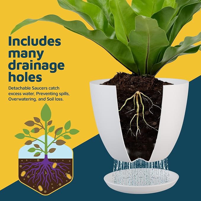 White Plant Pots with Drainage Holes & Saucers 15 Pack, Indoor & Outdoor - Image 6