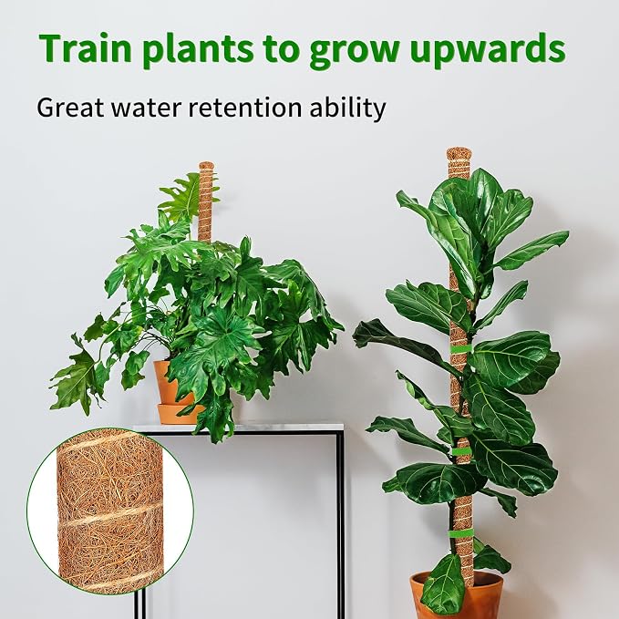 4 Pack 39 Inch Moss Pole Monstera Plant Support, Coir Moss Poles - Image 8