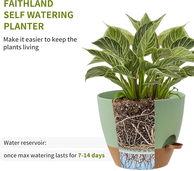FaithLand 3-Pack Large Planter Pots, 12 10 9 Inch Self Watering Flower Pots - Image 4