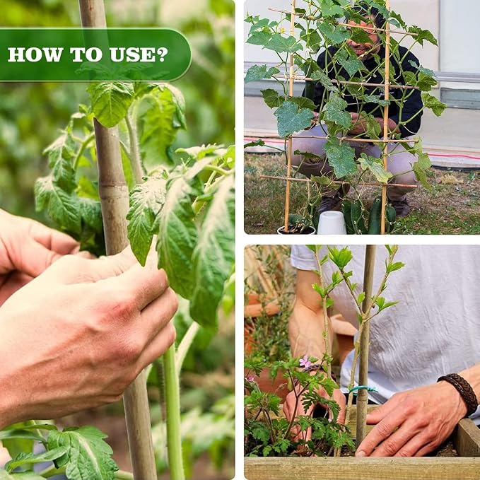 25pcs 1/2" D Thicker Heavy Duty Bamboo Stakes, 4.75FT Plant Stakes, Natural - Image 6